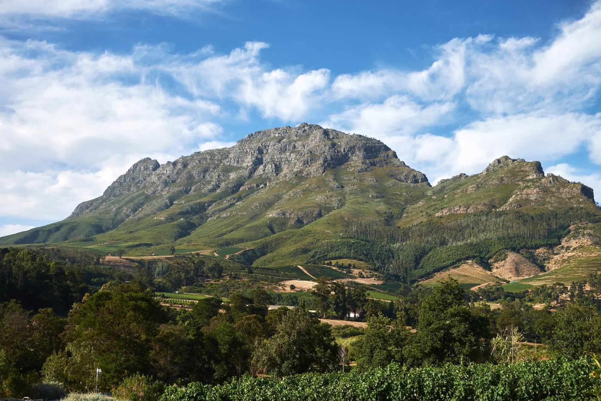 Alluvia Boutique Winery & Luxury Accommodation Stellenbosch Quarto foto The Helderberg