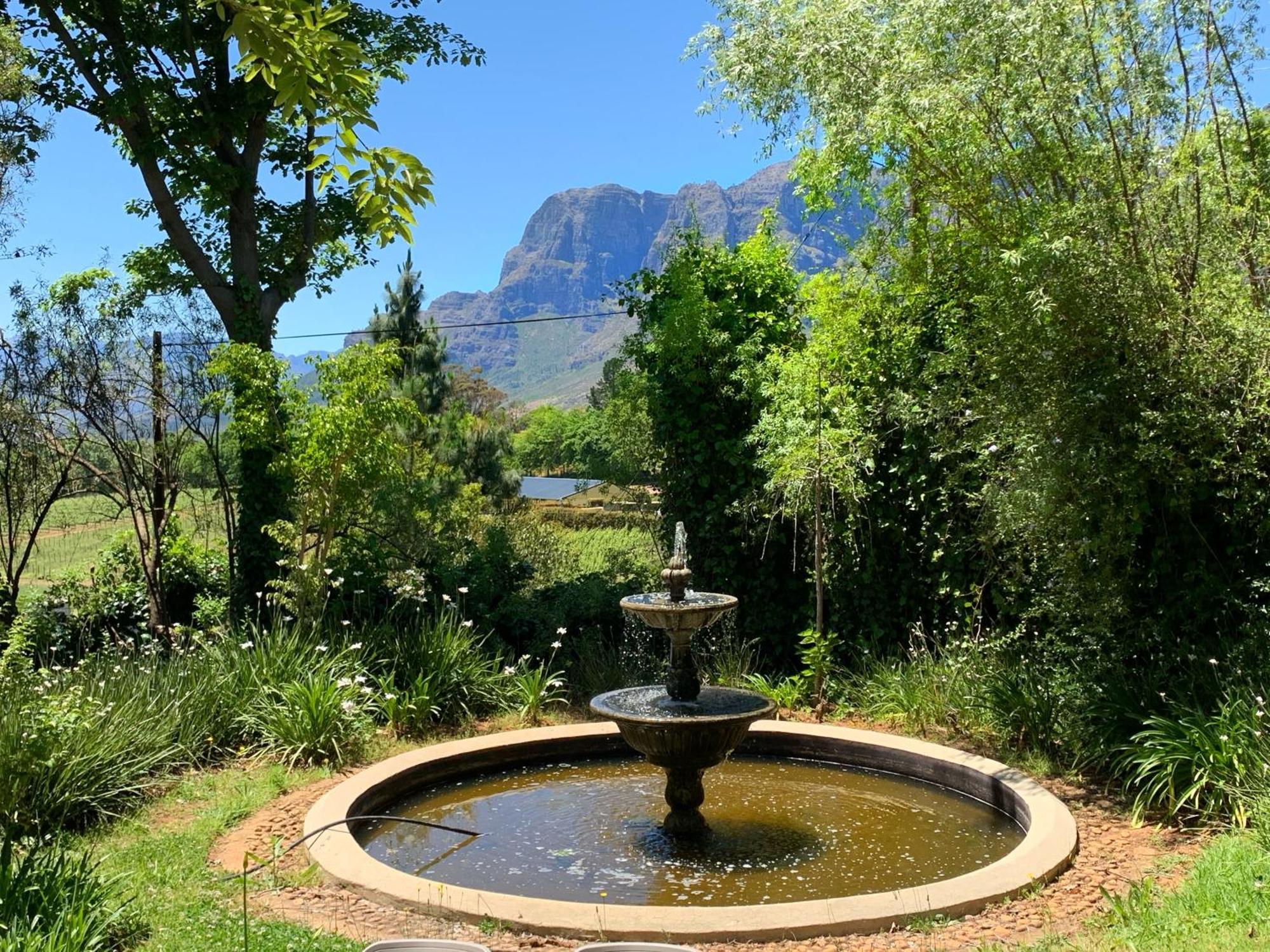 Alluvia Boutique Winery & Luxury Accommodation Stellenbosch Quarto foto Fountain at the entrance of the Tokai Arboretum